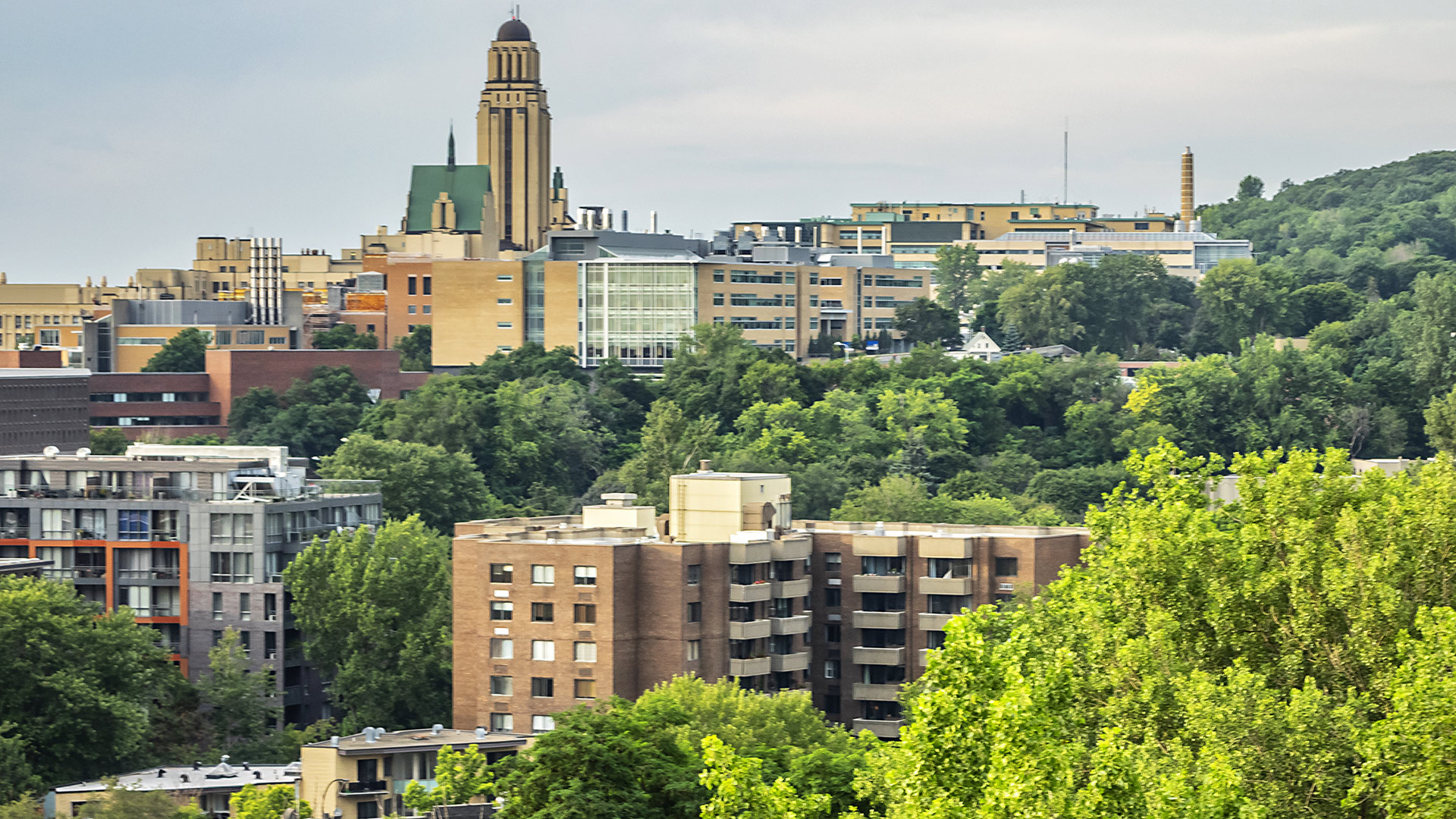 downtown montreal apartments for rent